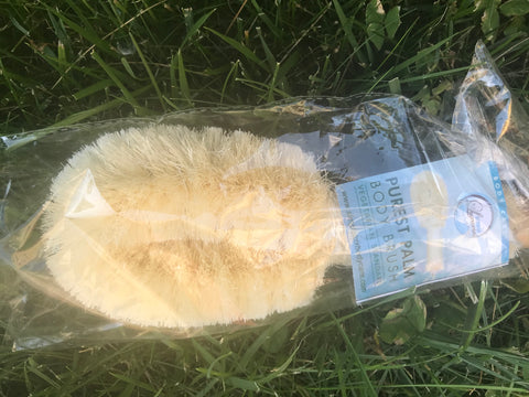 Dry Skin Brush