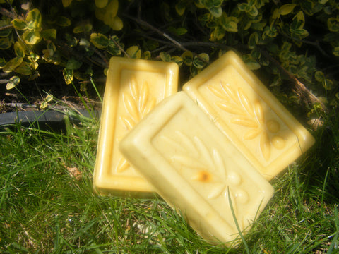 Lemon Grass